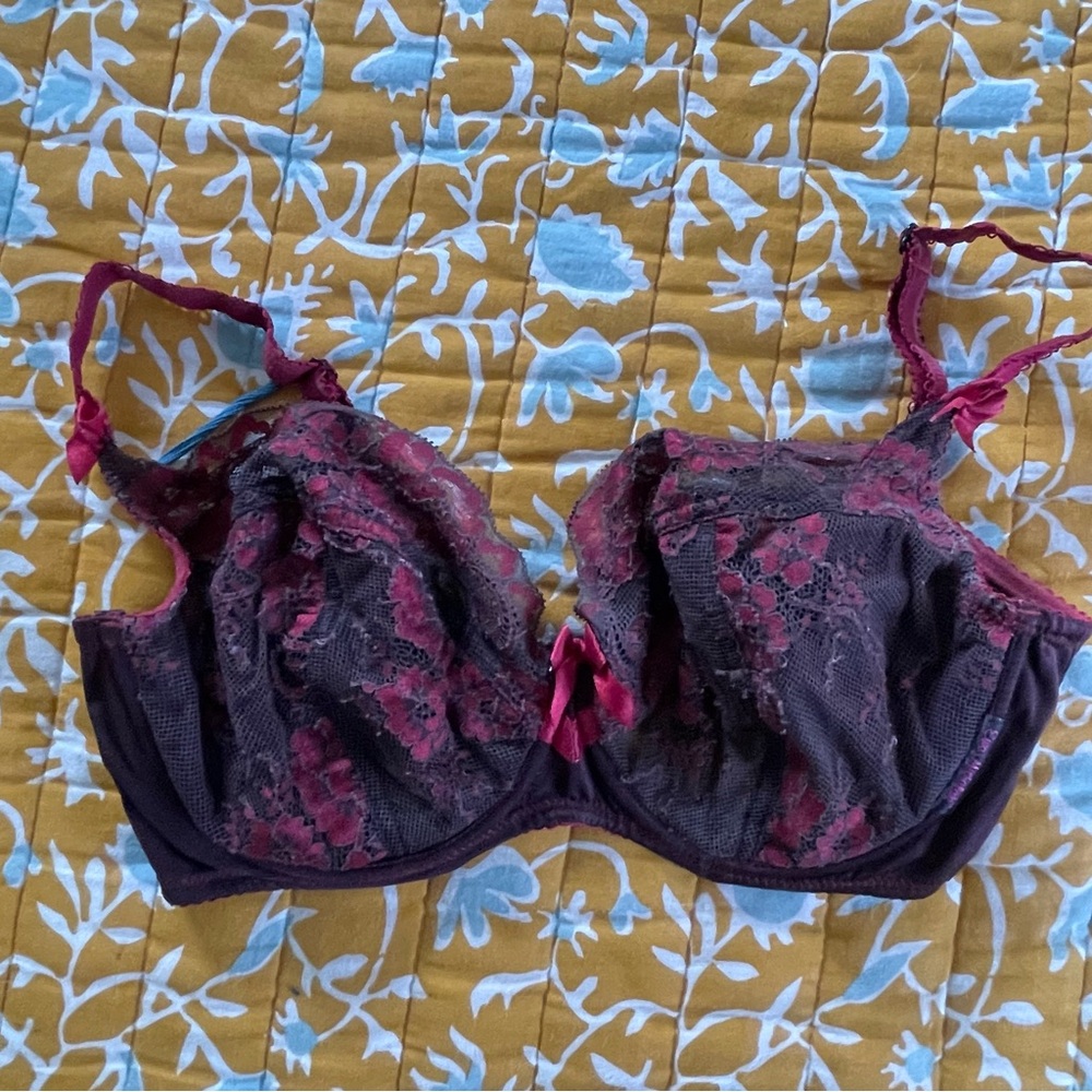 Ewa Michalak BM Chili bra 70G